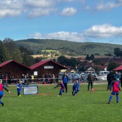 Kinderfußballfestival F-Junioren