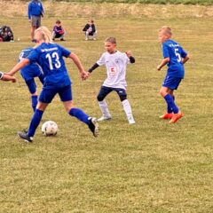 Spielbericht E-Junioren