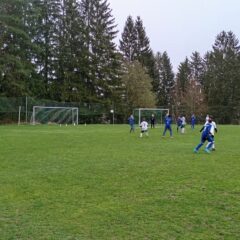 Spielbericht: FSV Goldlauter gegen Wernshäuser D-Junioren